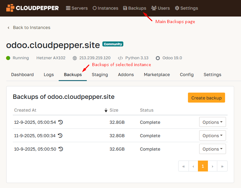 Two ways to find your Odoo backups. 1. Main Backups page. 2. Backups tab of instance