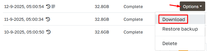 Options menu to download backup